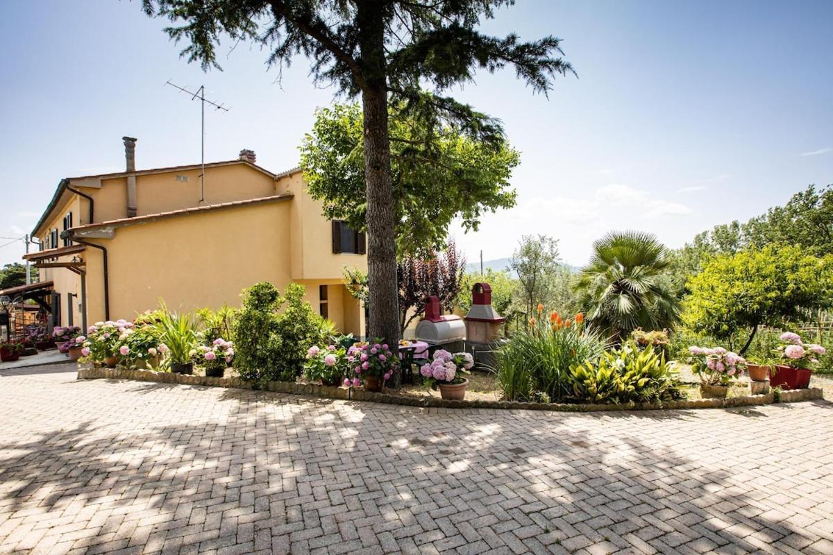 Casa Damiano Chianni Exterior foto